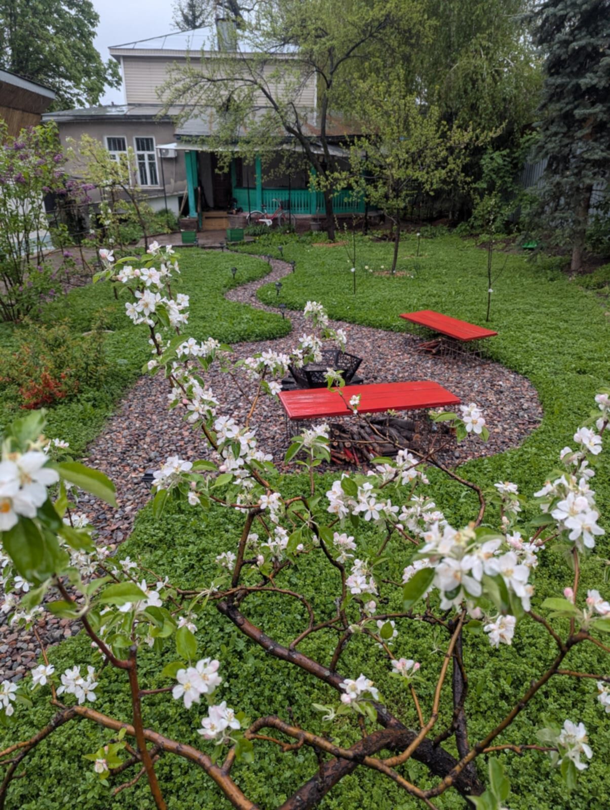 The Amanzholov garden in spring bloom — fire pit, apple blossom, house beyond